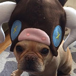 Thumbnail image for stuffed stuff: Plush Pyth baby hat